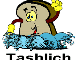 Should Tashlich include the throwing of bread and/or coins?